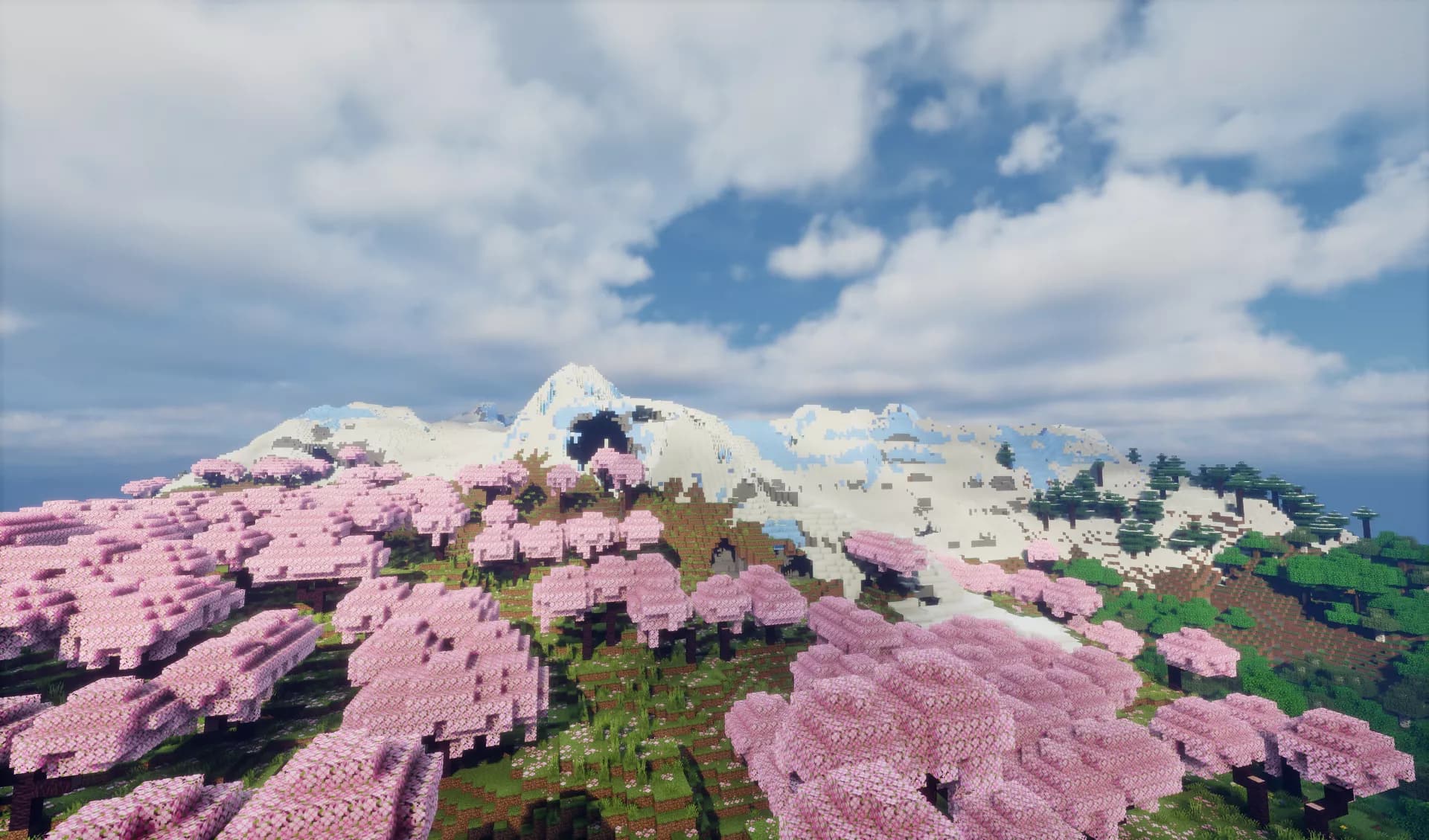 Server Background